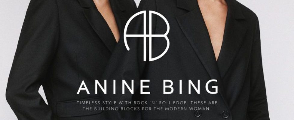 Anine bing blog image